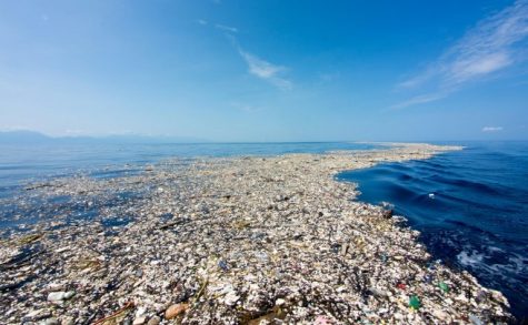 The Sad Truth of Pollution