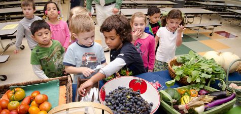 Nutrition and Academics