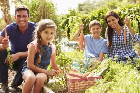 The Growing Benefits of Gardening