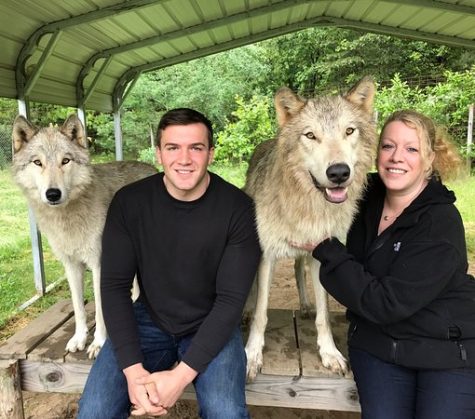 Would You Like to Own a Wolf?