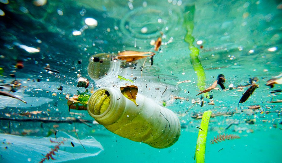 Pollution in Our Oceans