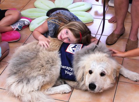 The Benefits of Therapy Animals