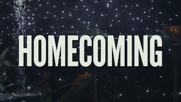 Would You Like a Homecoming Dance?