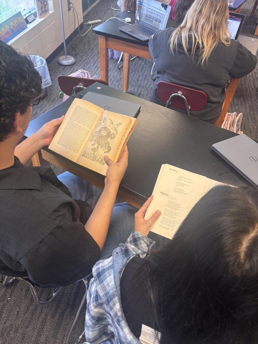 The Decline of Teen Reading