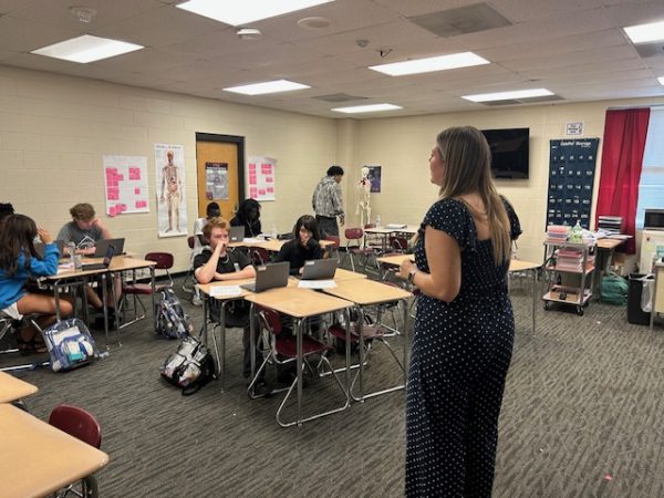 New Teachers in the Forest!