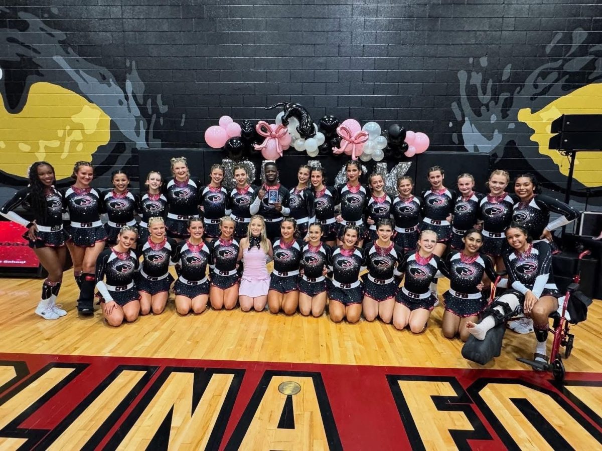 Let's CHEER Our Panthers!