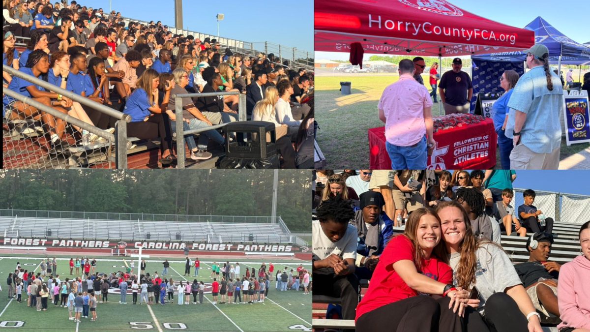 Fields Of Faith At The Forest